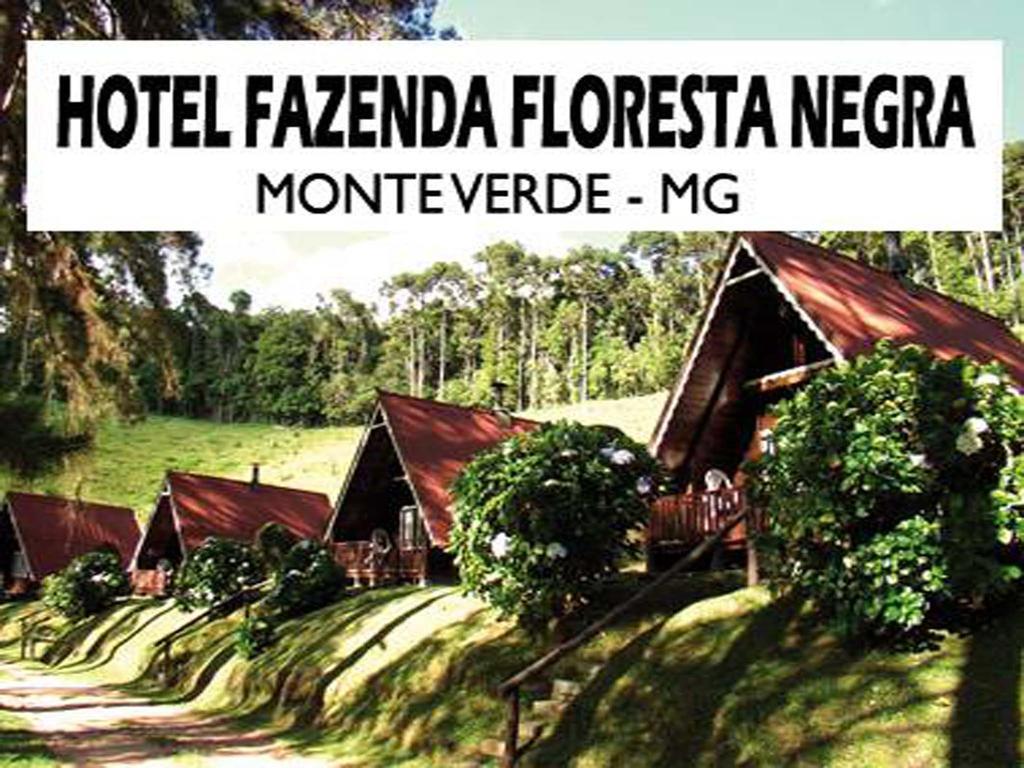 Hotel Fazenda Floresta Negra Monte Verde  Dış mekan fotoğraf