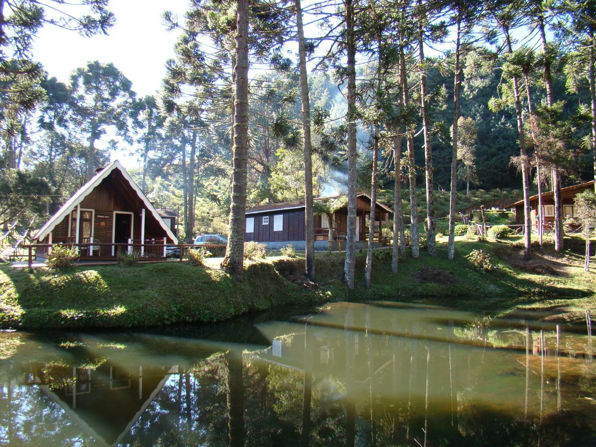 Hotel Fazenda Floresta Negra Monte Verde  Oda fotoğraf