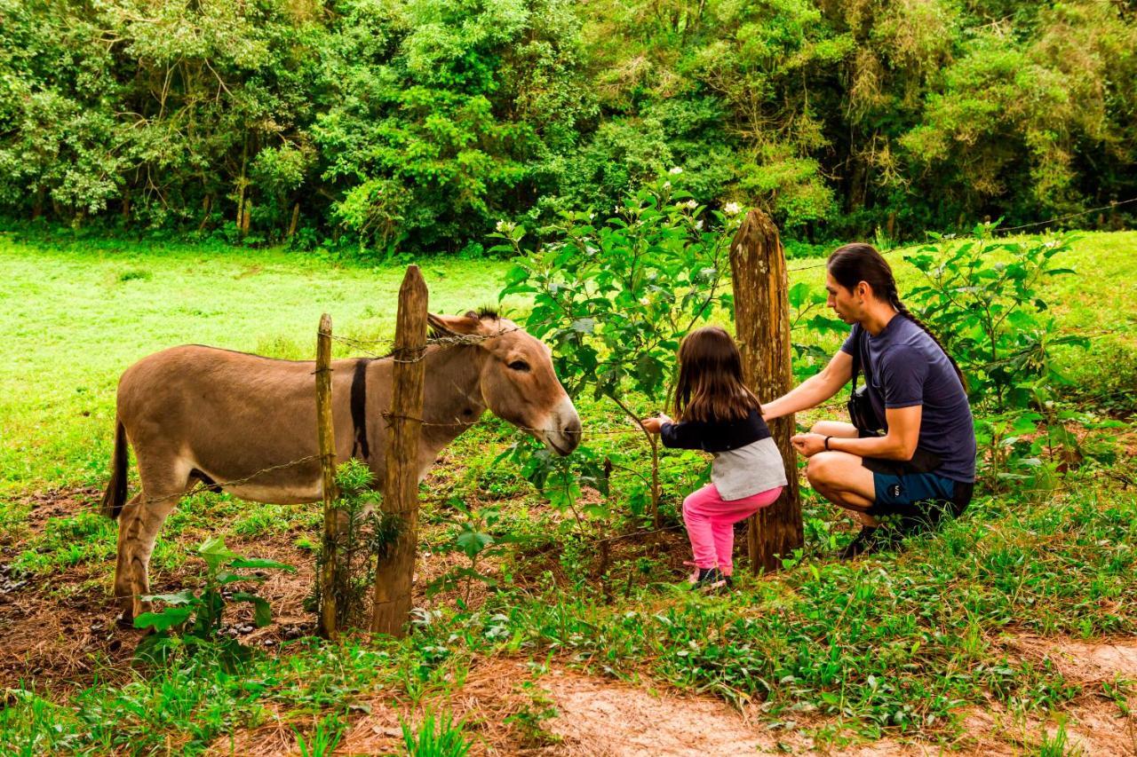 Hotel Fazenda Floresta Negra Monte Verde  Dış mekan fotoğraf