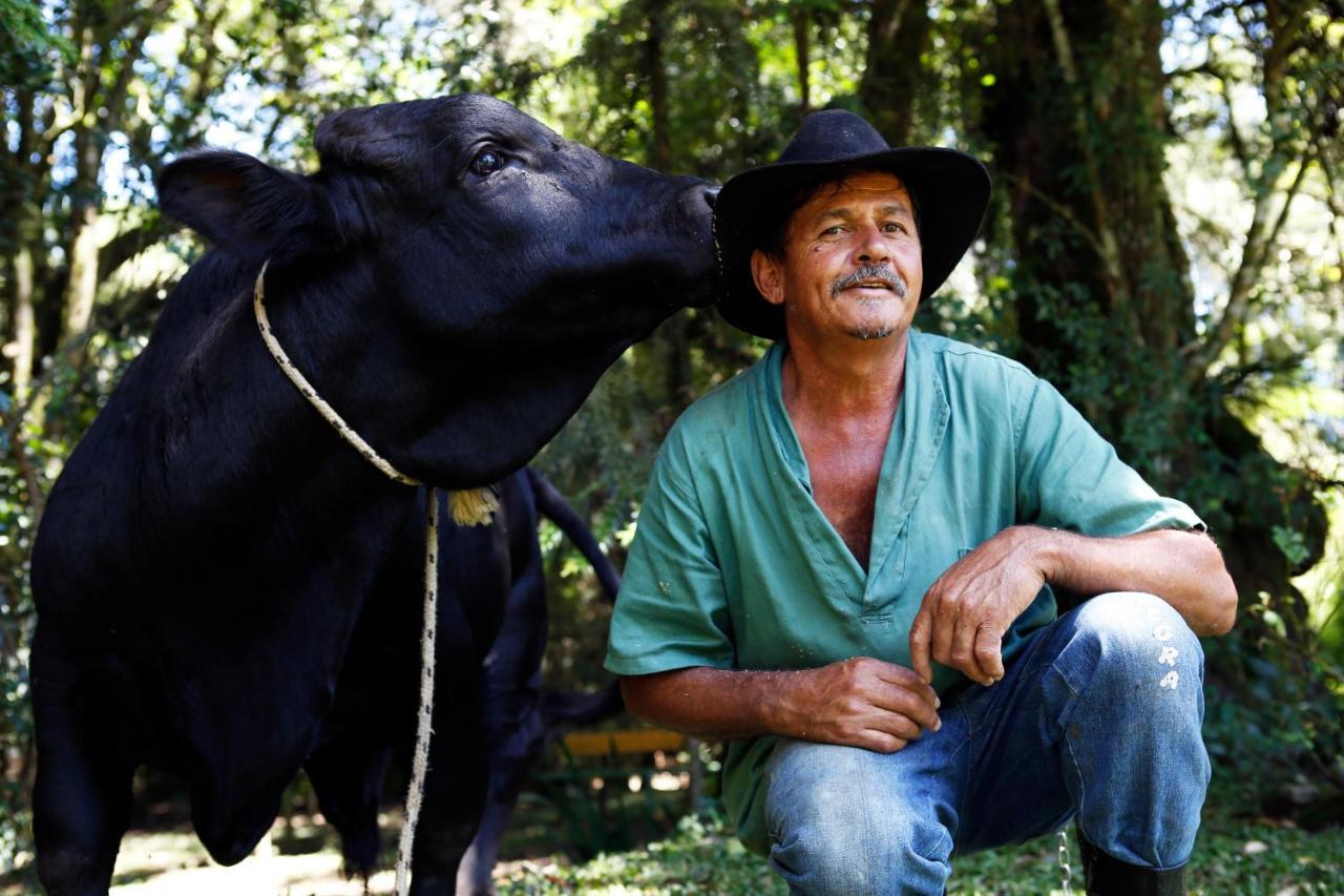 Hotel Fazenda Floresta Negra Monte Verde  Dış mekan fotoğraf