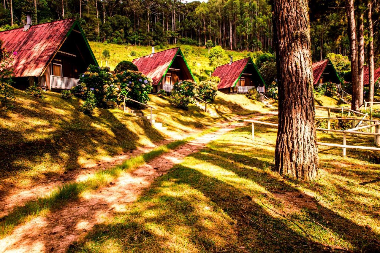 Hotel Fazenda Floresta Negra Monte Verde  Dış mekan fotoğraf