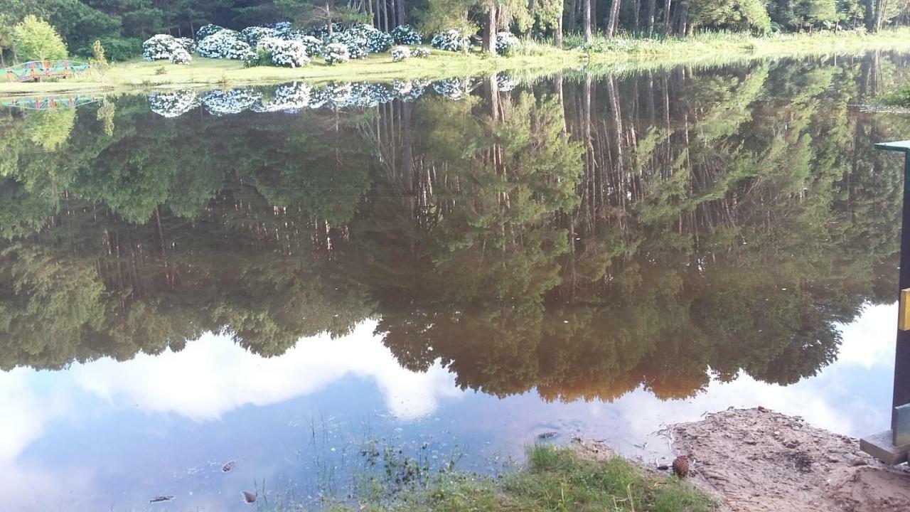 Hotel Fazenda Floresta Negra Monte Verde  Dış mekan fotoğraf